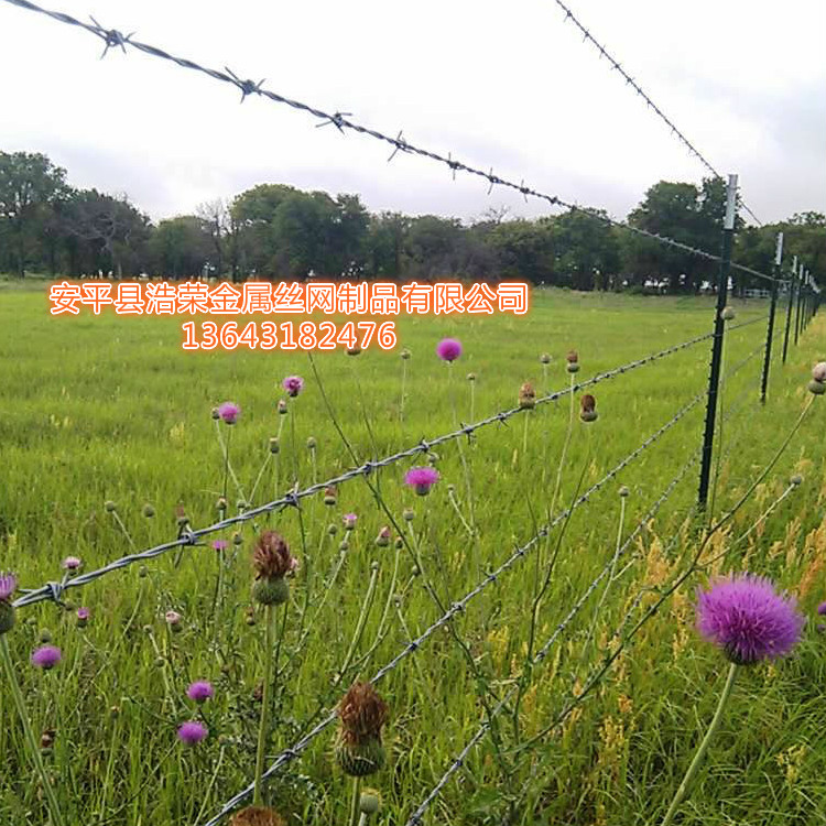 刺绳