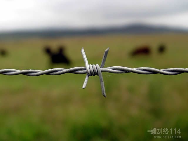 带刺铁丝