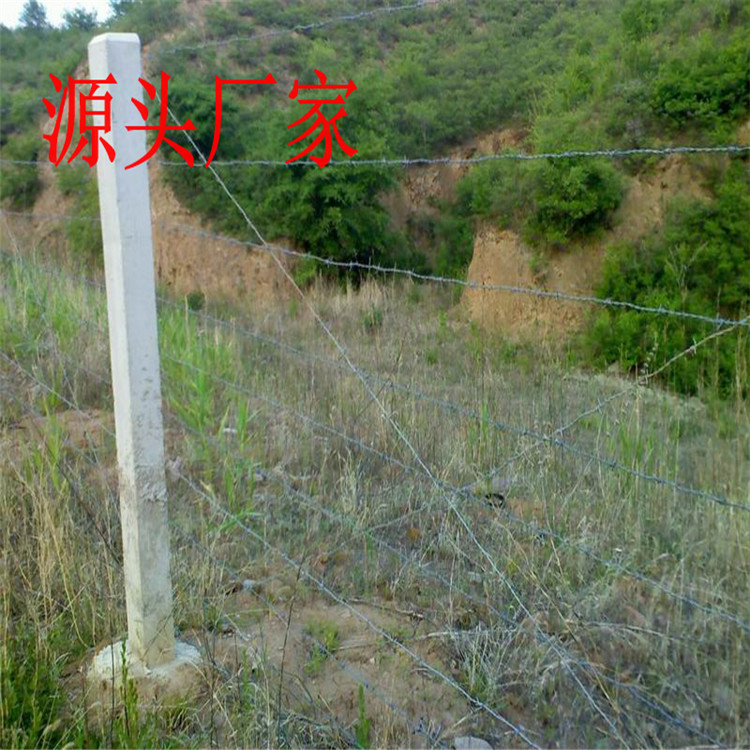 刺丝围栏安装