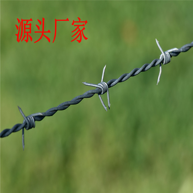 304不锈钢刺绳