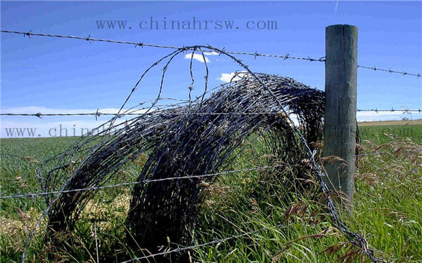 铁蒺藜价格