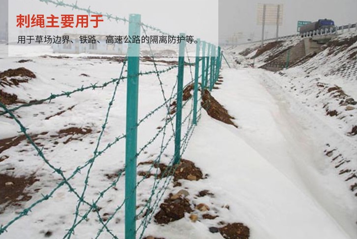刺绳安装效果图