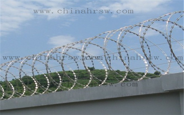 刺丝滚笼