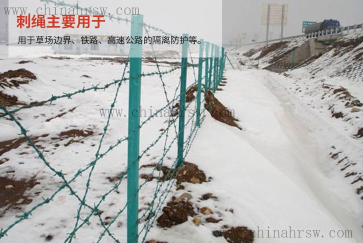 刺绳安装效果图