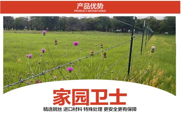刺绳1_副本.jpg
