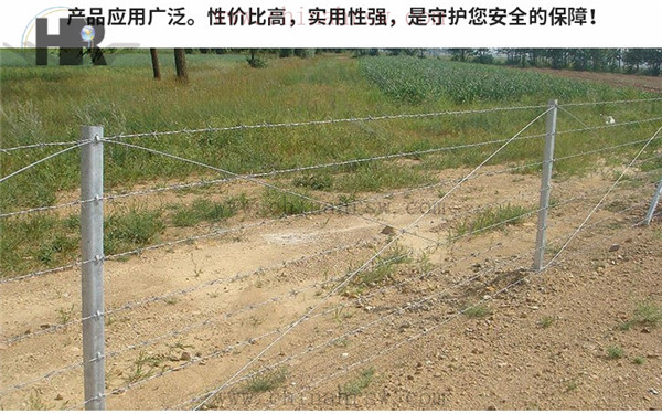  刺绳钢丝网多少钱一米：