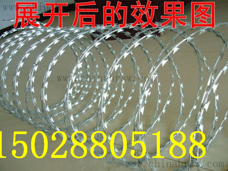 刺绳