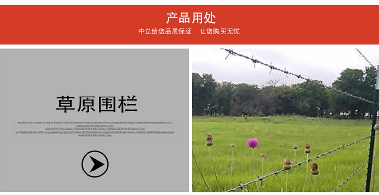 带刺铁丝网