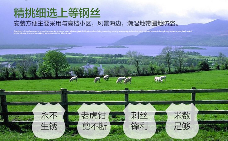带刺铁丝网围栏