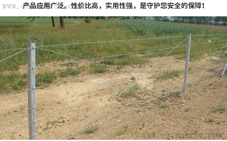 不同的刺绳立柱成本 不同的刺绳立柱成本