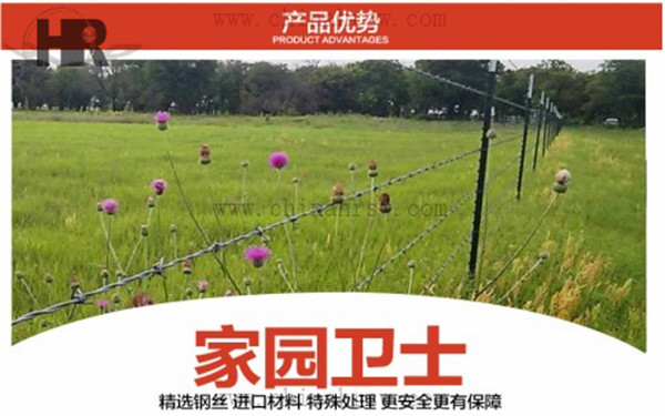 刺绳防护网