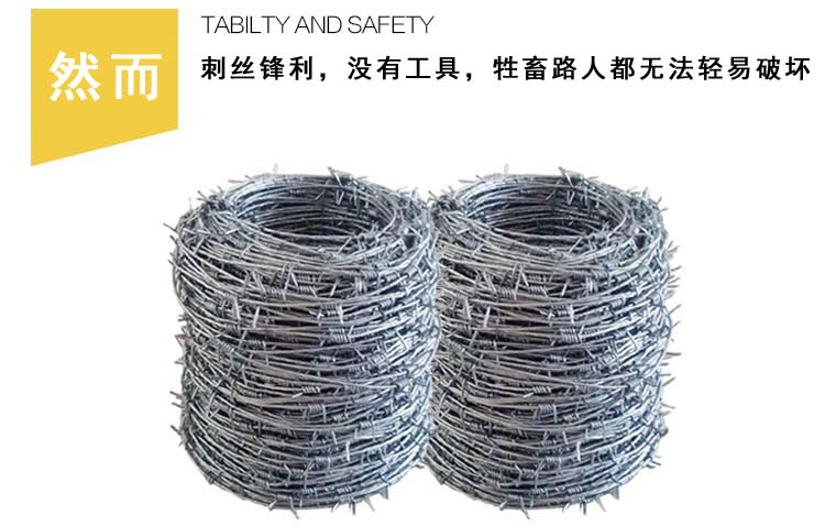 刀片刺绳防护网