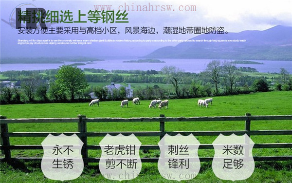 刺绳