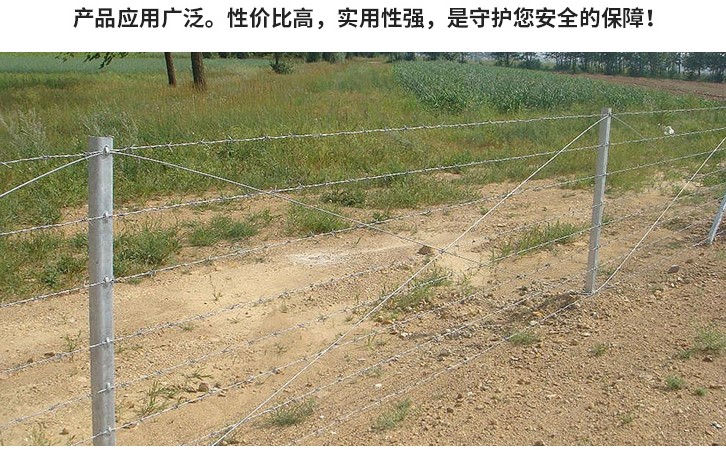 刺丝围栏